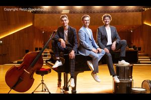 Festival vielsaitig: Frank Dupree Trio